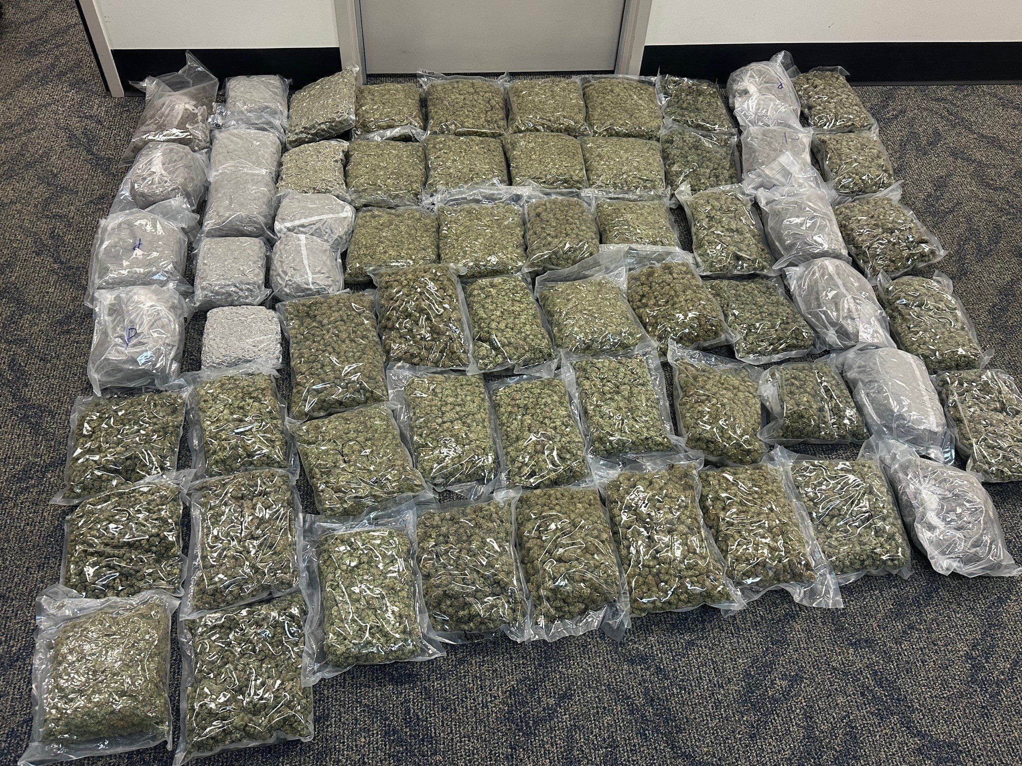 Major Drug Bust in Brisbane South Sees $150,000 Worth of Illicit Substances Seized
