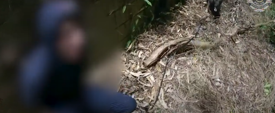 Three Teenagers Arrested After Carindale Break-In